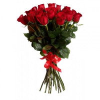 Roses Freedom (100cm) Code - 0164