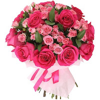 Pink Code - 7459
