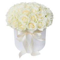 Caprice Code - 7465