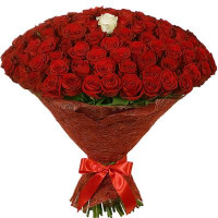 Sweetheart code-9730