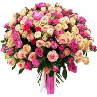 Angelica code-9734