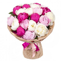 Peonies Code-8557