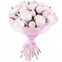 Pink Code-8559