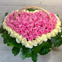 Sweetheart Code - 2082
