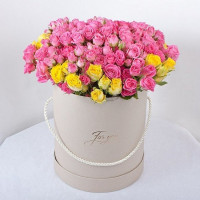 Pink Code - 2084