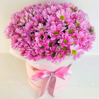 Romantic Code-0897