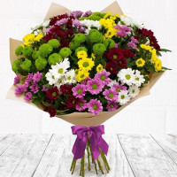 Sylvia Code-0898
