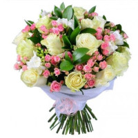 Cindy Code - 9461