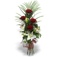 Луксор Код - 443