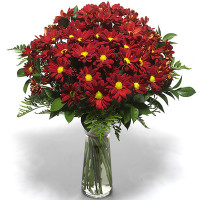 Рижский Код - 415