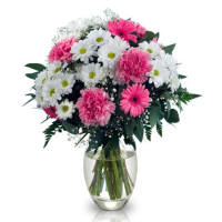 Альпи Код - 438