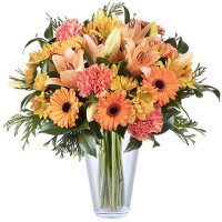 Autumn motive Code - 436