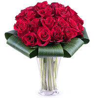 25 roses Code - 429